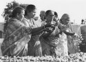 Raj Ghat