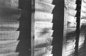 Wooden Wall
