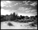 dunes2