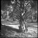3007354-lg.jpg
