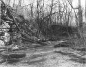 Hoyt Bluff No. 1
