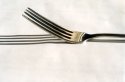 Fork