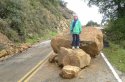 Rock in the Road