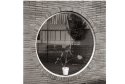 Window with Plant