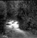 Biniaraix Torrent