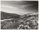Morning at Shepherd's Fold