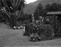 Big Sur