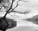 Coniston from Brown Howe
