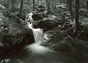 HEADWATERS OF THE HOLLY RIVER