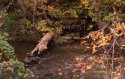 Creek
