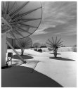 wibw dishes