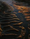 Golden ripples - Kimmeridge