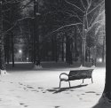 Bench, Prospect Park