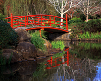 Japanese gardens - Toowoomba