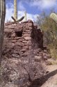 Saguaro-West---IV