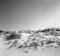 Cape Cod looking east