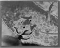 playing with solarization
