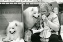 Lunch break, Crufts, 2007.