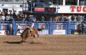 Bucking Bronco I