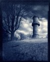The Rook