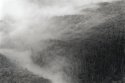Mist in Jamieson Valley
