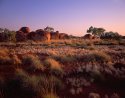 Grass Land and Rocks