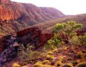 Early Morning, Ormiston Gorge
