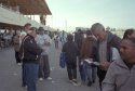 race fans-