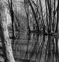A lazy Salt Creek