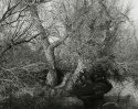 Owens Valley, California, 2007