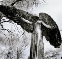 Black Angel
