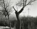 Owens Valley, California 2007