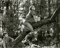 Tree Huggers II