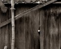 Old Shed Out Back