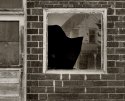 Broken Window
