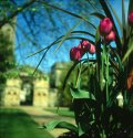 Botanic Gardens