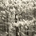 Bloomington, Indiana