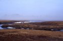 Misty Bog