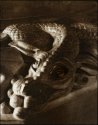 Dragon - Kallitype