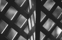 Lattice