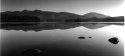 Derwent Dawn