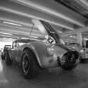 Cobra