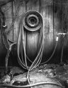 Hofer-Hose