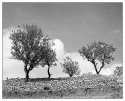 Monte Sant´Angelo