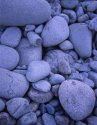 Rocky shore