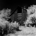 Barn (regular print)