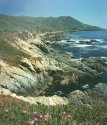 Big Sur Shoreline... COLOR OK?