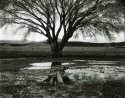 Prescott Az in 2007: image 1.