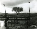 Prescott Az in 2007: image 2.