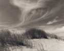 Oregon Dunes
